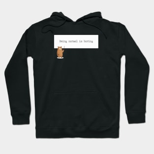 Being normal is boring Hoodie